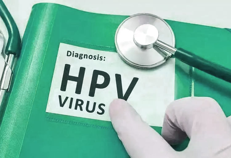 ŮϵȾHPV3򱻲ǳҪ